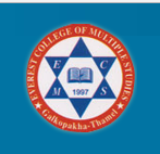 Everest Multiple College