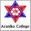 Araniko College