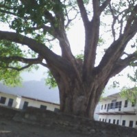 Triveni Sangam Secondary School 1
