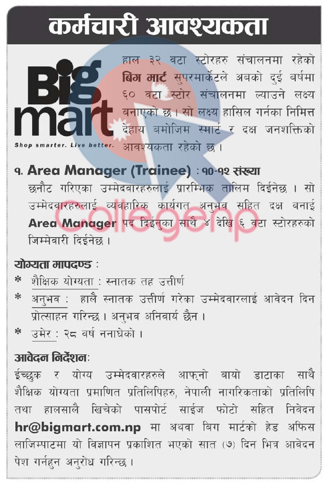 BigMart Nepal