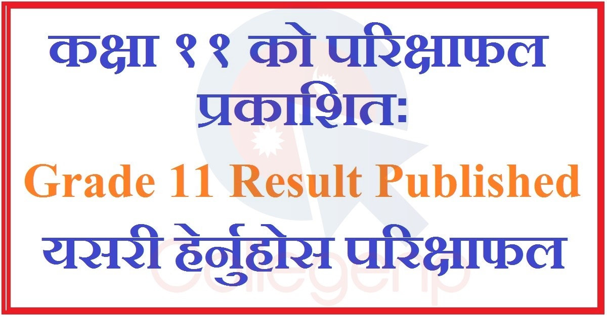 Grade 11 results published