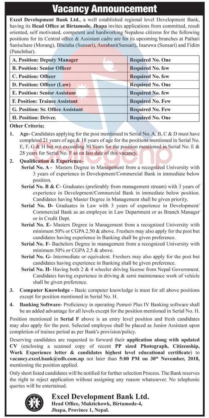 Excel Development Bank Limited