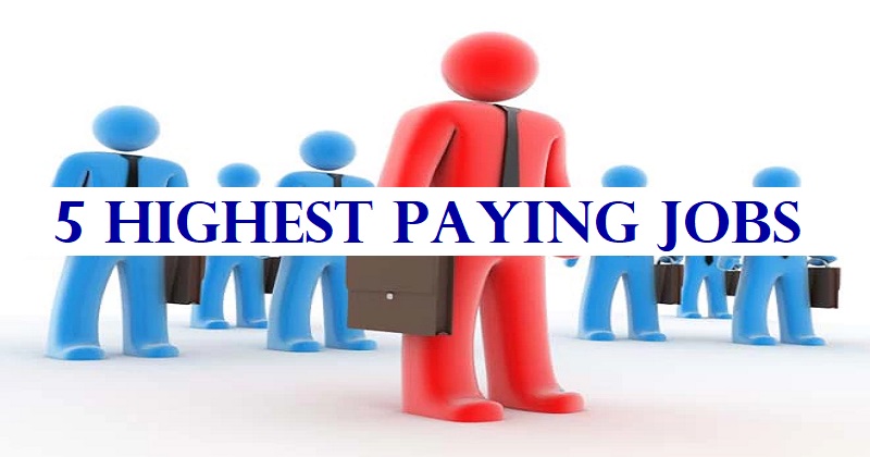 5 Highest Paying Jobs