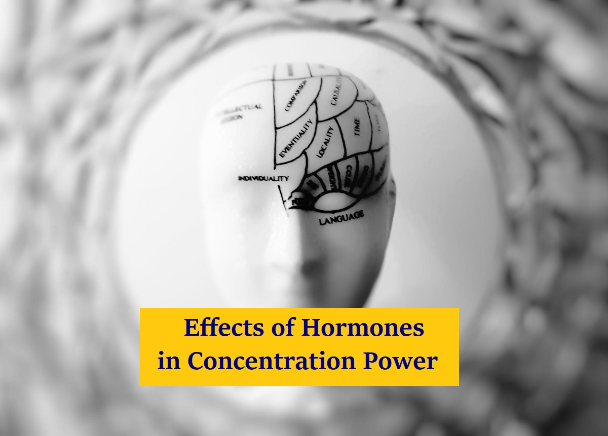 Effects of Hormones in Concentration Power