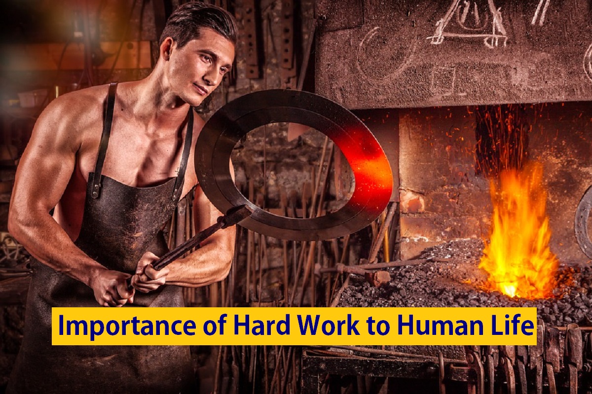 Importance of Hard Work to Human Life