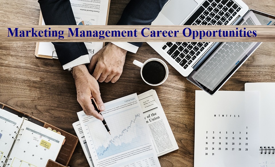 Marketing Management Career Opportunities