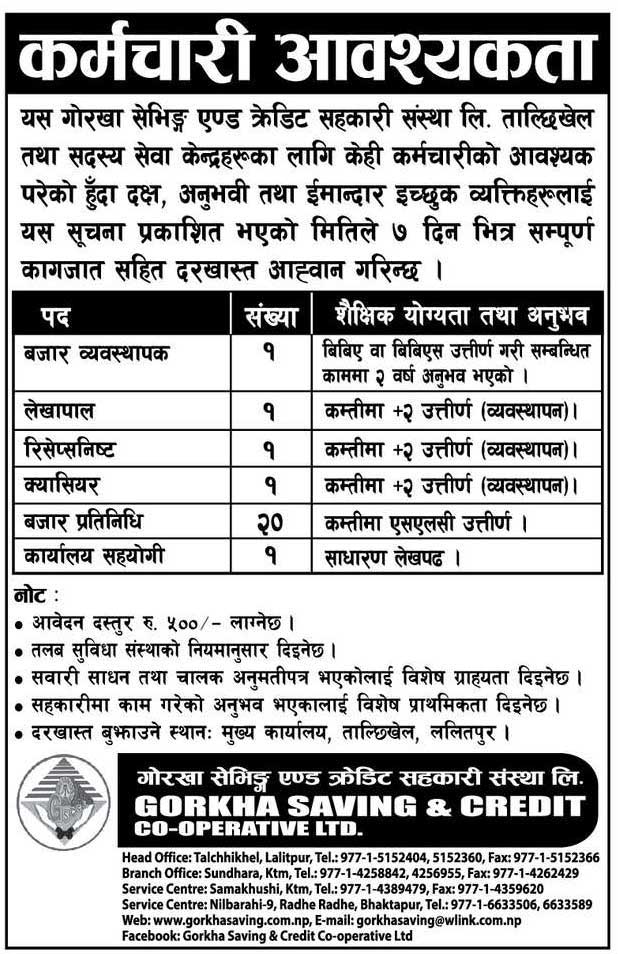 Gorkha Saving and Credit Cooperative Vacancy