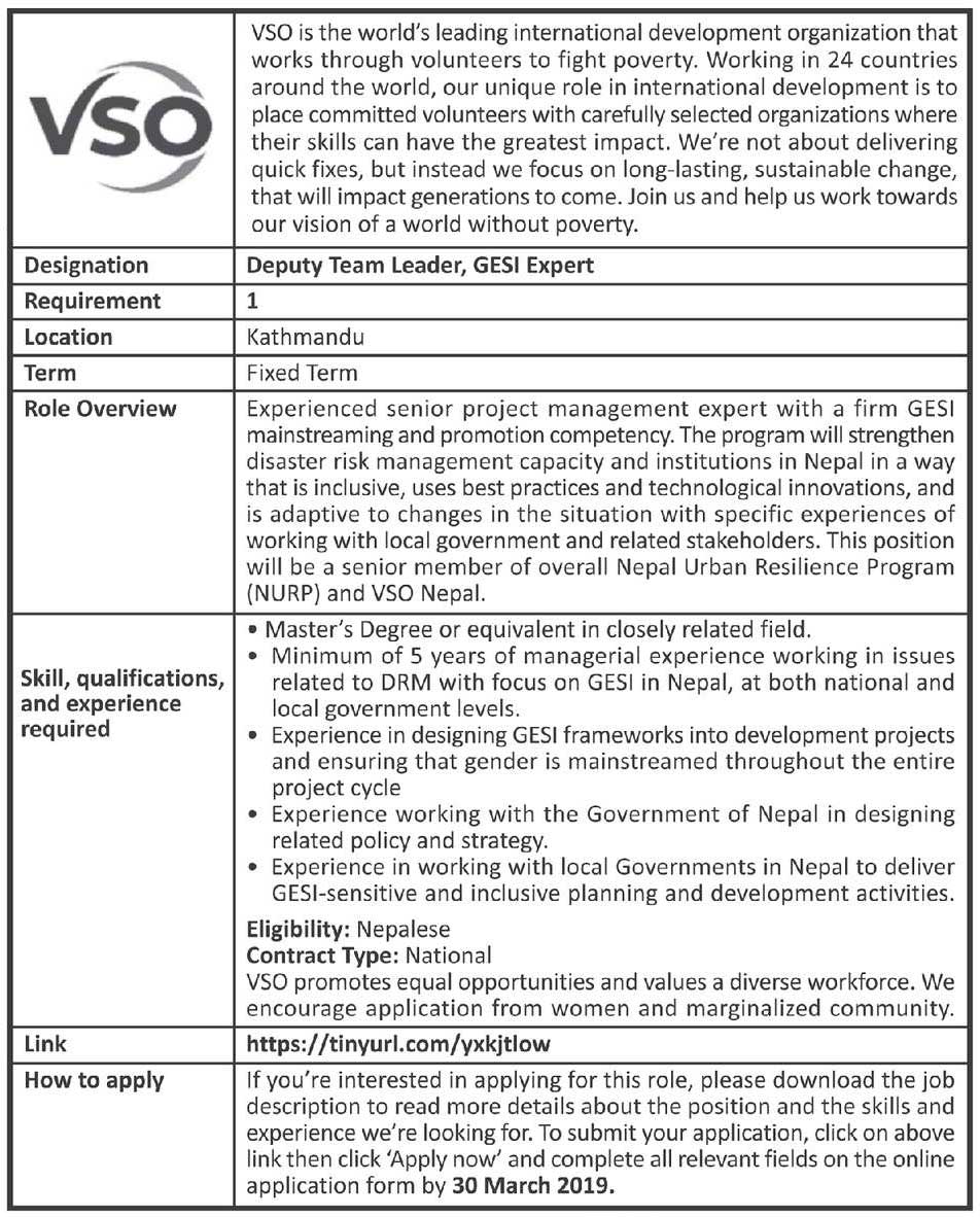 VSO Nepal Vacancy for Deputy Team Leader