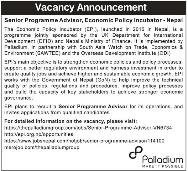 Palladium Group Vacancy