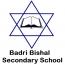 Badri Bishal Secondary School