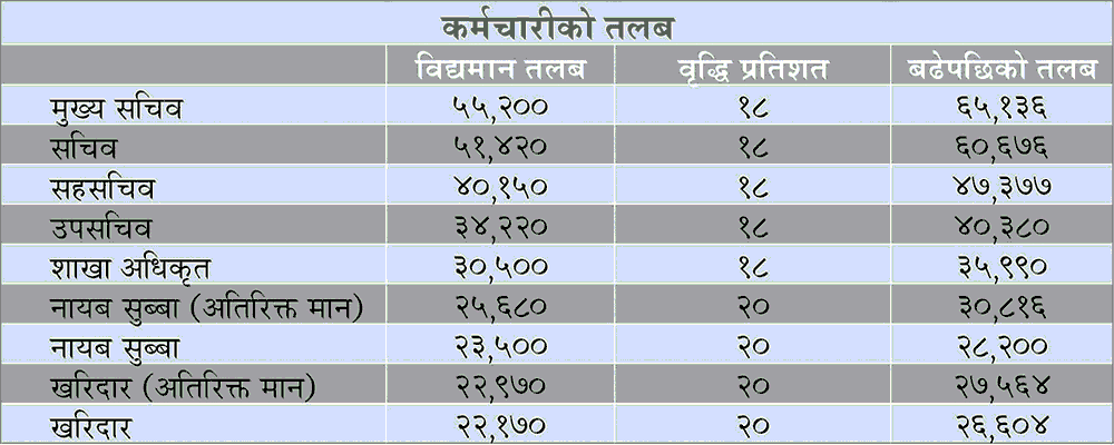 Salary Sheet of Government Employees
