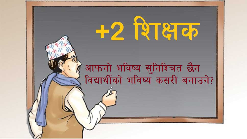 Permanent  Teachers Grade 11 and 12