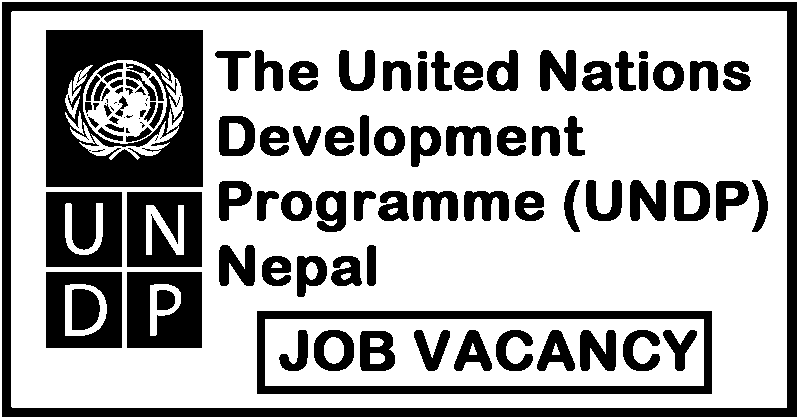 UNDP Job Vacancy for Various Positions