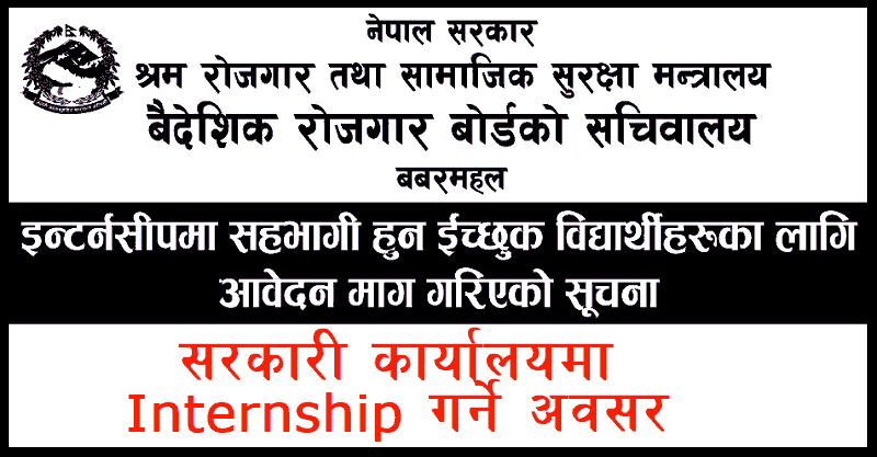 Internship Opportunity at Goverment Office