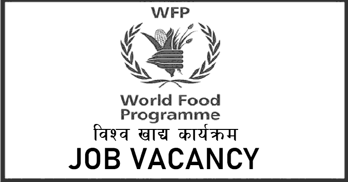 World Food Programme (WFP) Vacancy