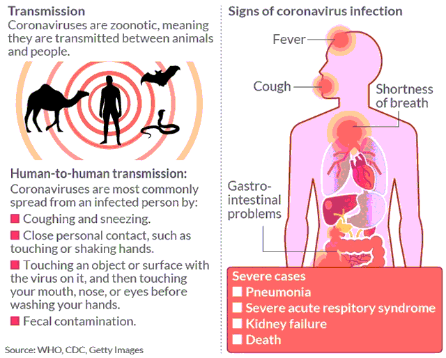 How Does Coronavirus Spread