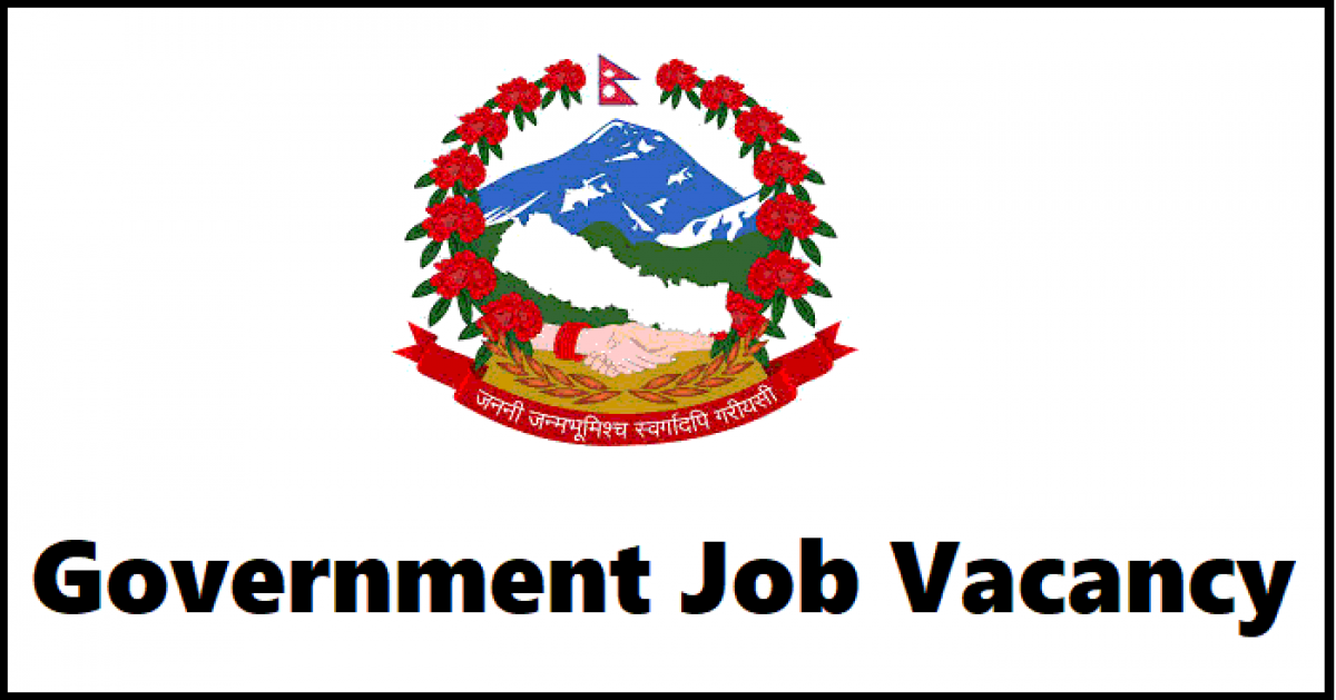Government Job Vacancy