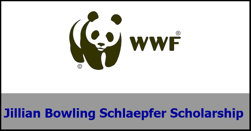 Jillian Bowling Schlaepfer Scholarship