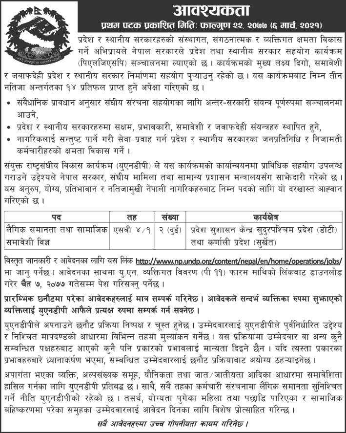 Provincial and Local Governance Support Programme (PLGSP) Vacancy for GESI