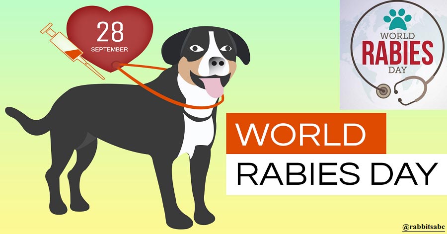 World Rabies Day