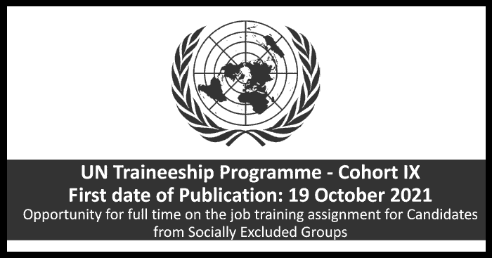 UN Traineeship Programme