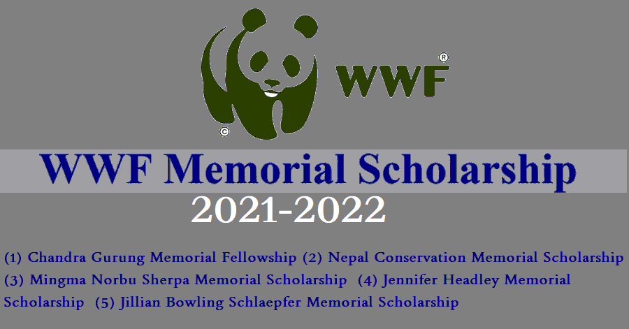 WWF Memorial Scholarship 2021-2022