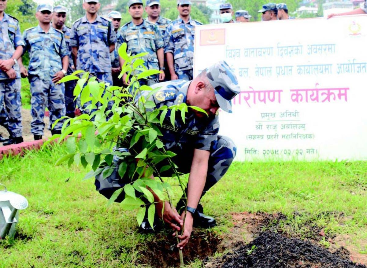 APF Nepal Planted 14,000 Saplings on the Occasion of World Environment Day