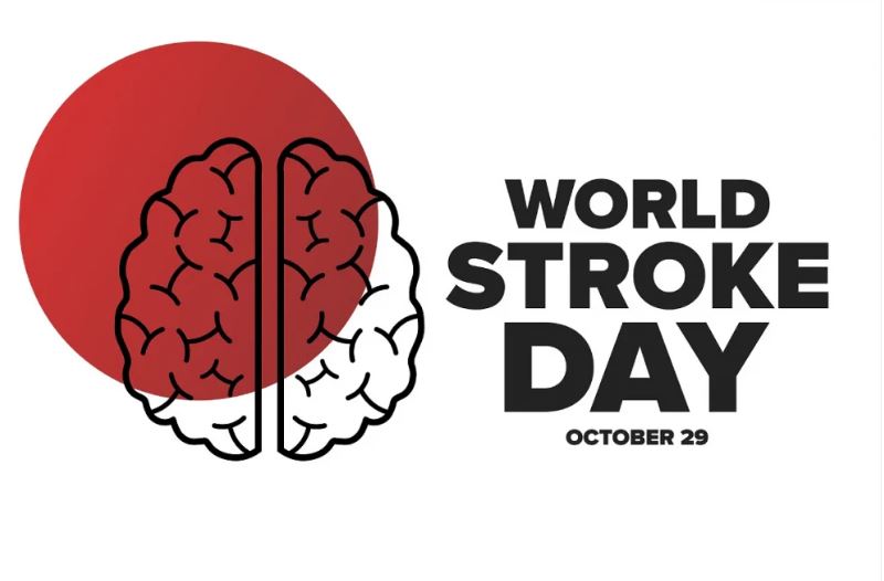 World Stroke Day