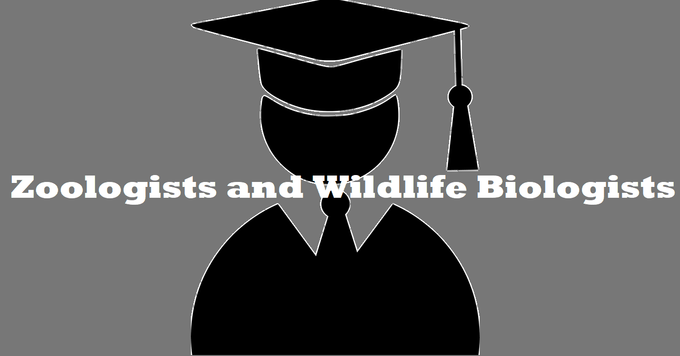 Zoologists and Wildlife Biologists: Career, Skills, Options, Outlook, Jobs,  Challenges | Collegenp