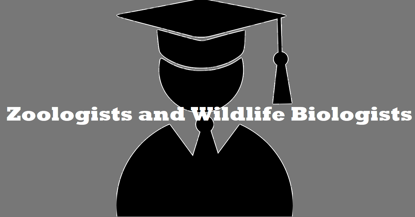 Zoologists and Wildlife Biologists