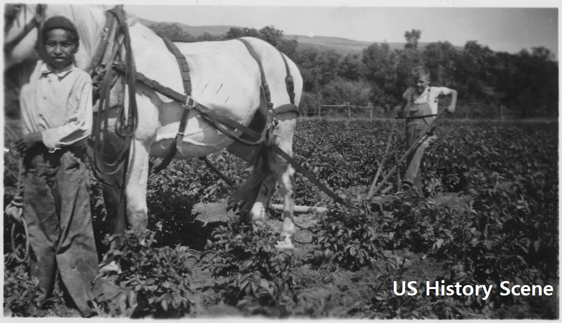 Agriculture History in America