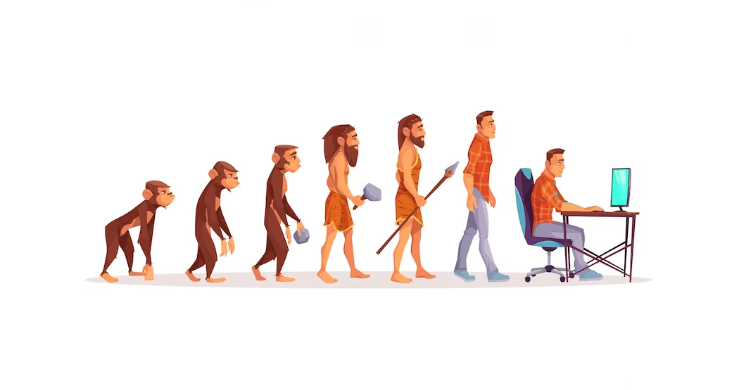 Human Evolution