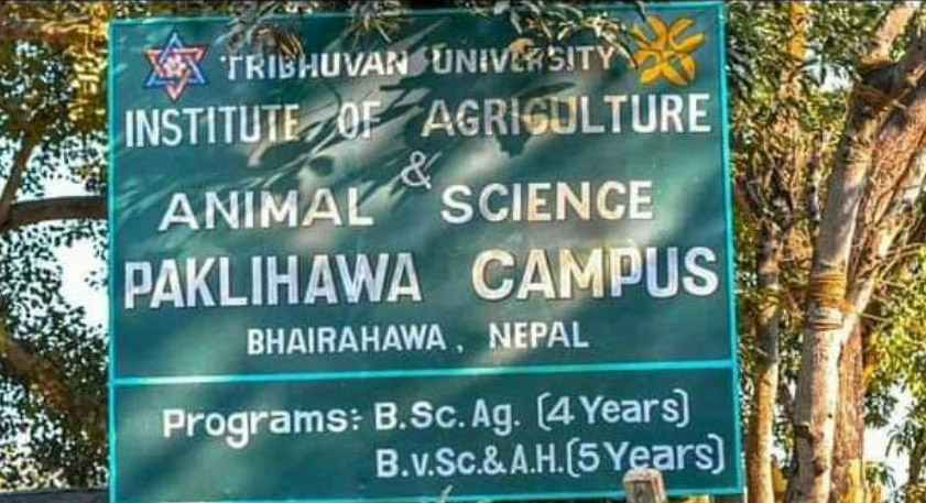 Paklihawa Campus Notice