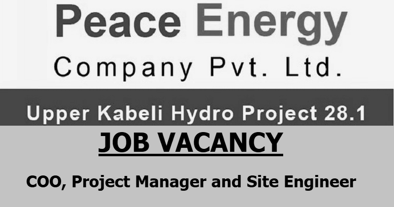 Peace Energy Company Vacancy