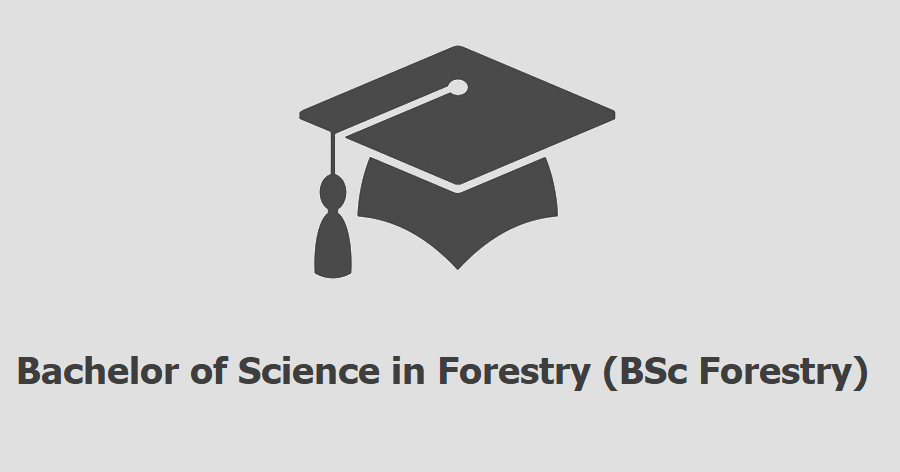 BSc Forestry