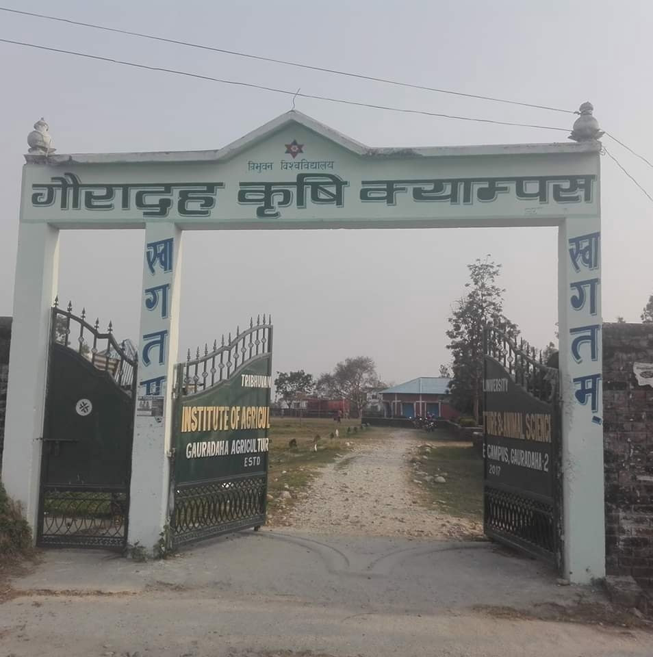 Gauradaha Agriculture Campus