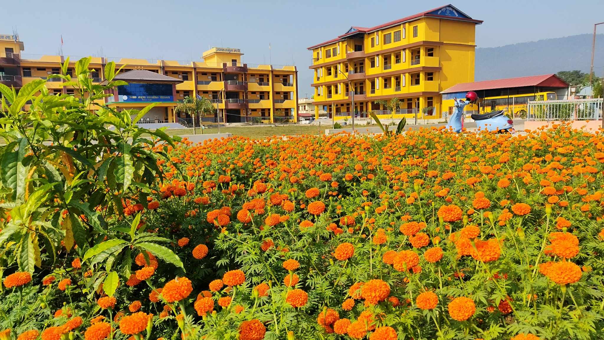 Janak Secondary School, Nawalparasi Building 