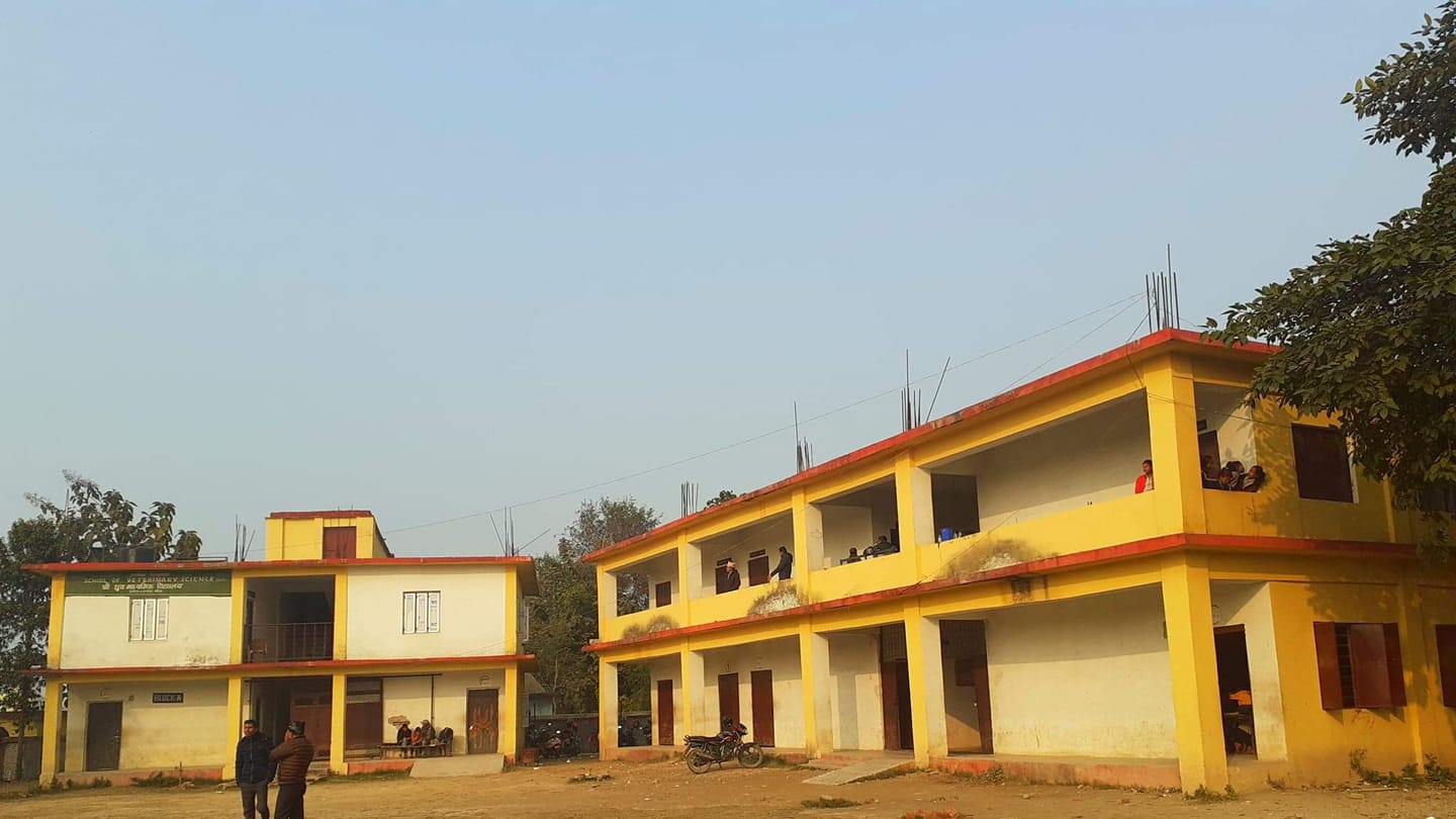 Dhruba Secondary School, Bardiya Building 
