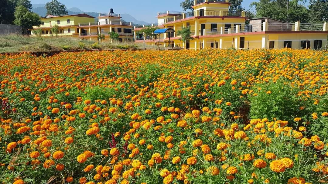 Jana Bikash Secondary School, Palpa Building 