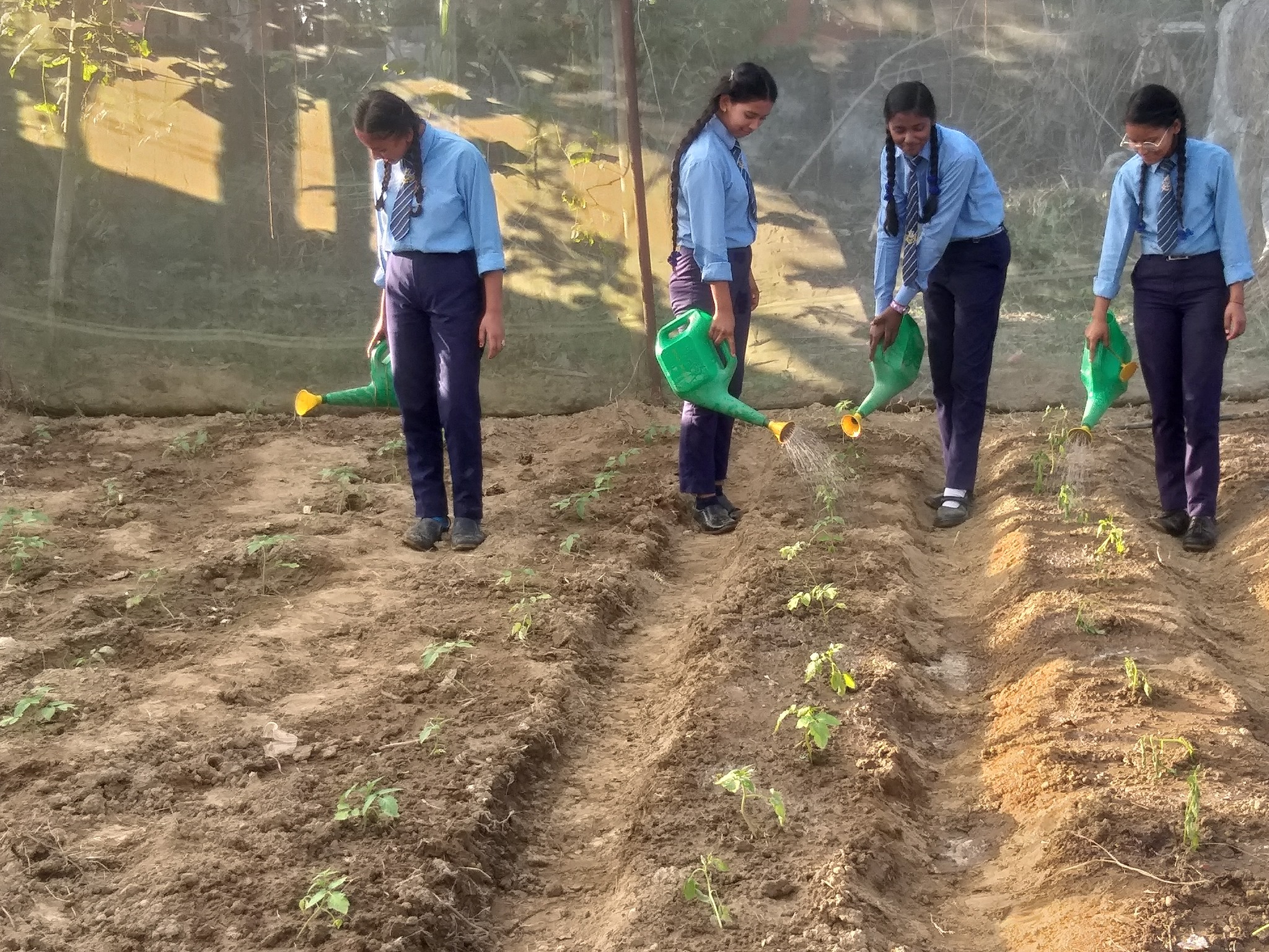 Shiva Secondary School, Surkhet Plant Science Practical 