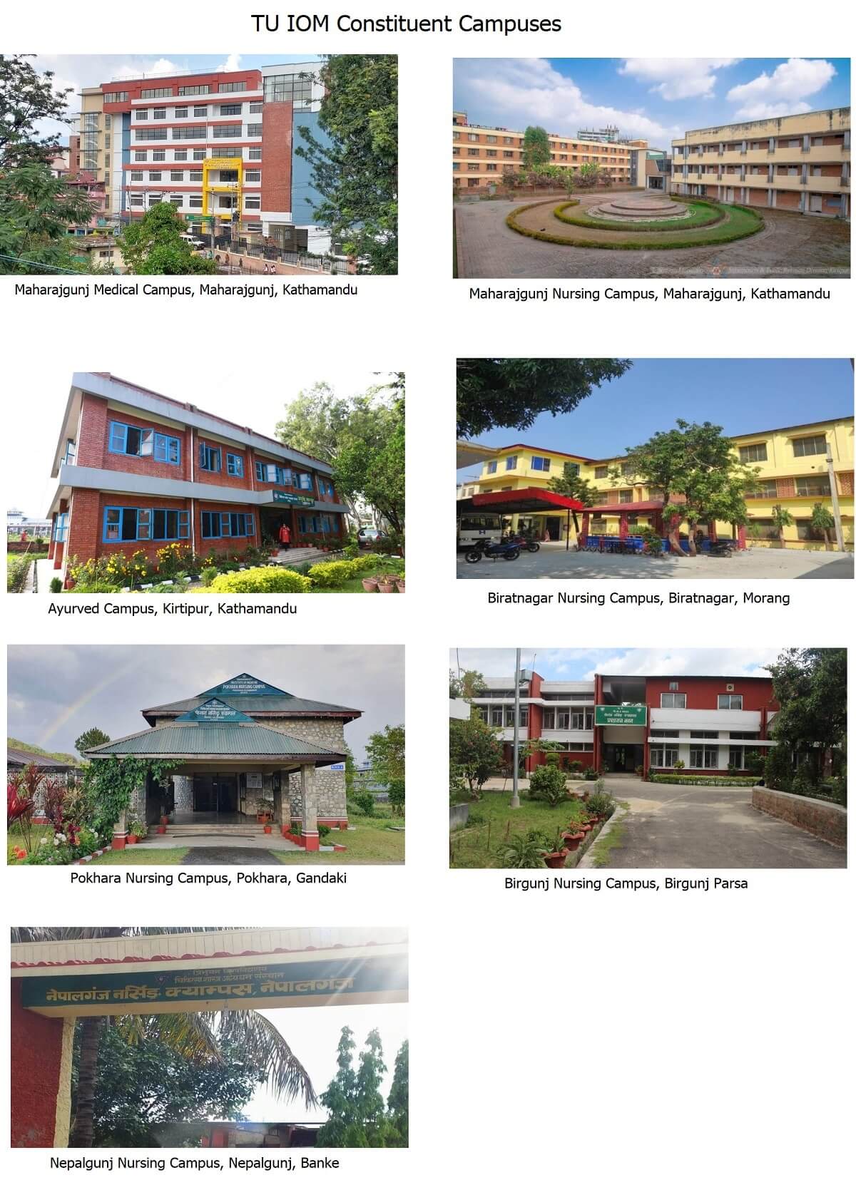 TU IOM Constituent Campuses 