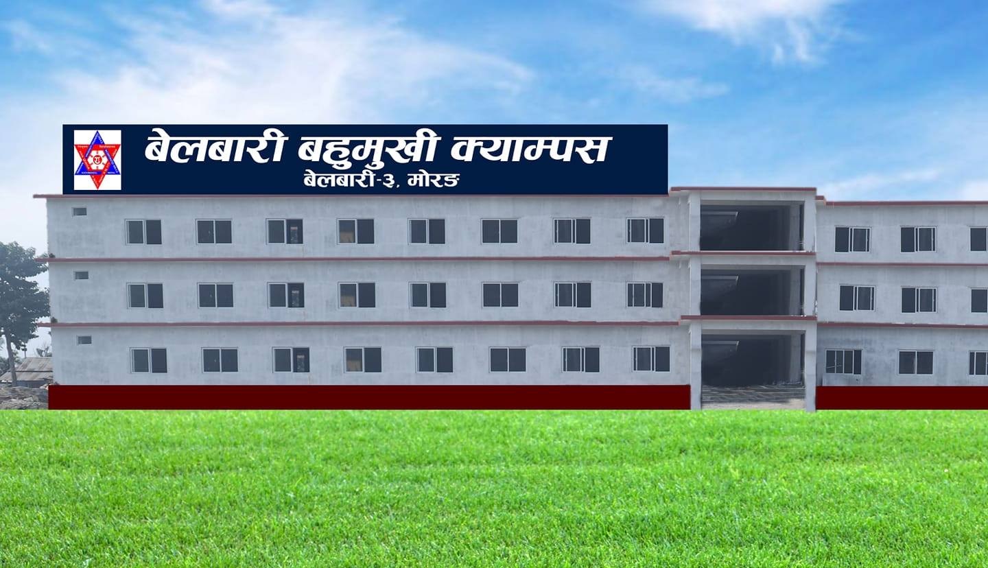 Belbari Multiple Campus, Morang, Building 