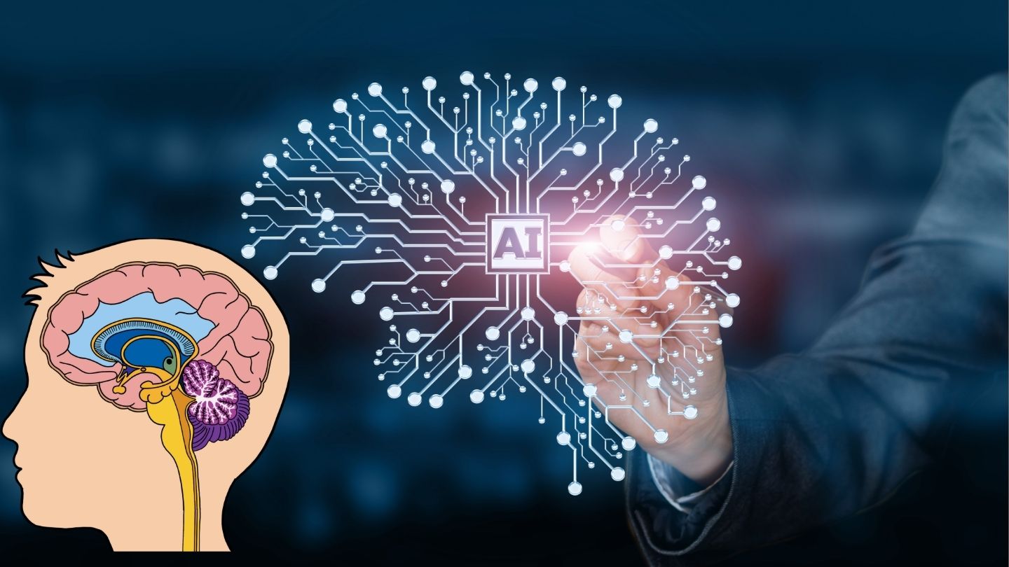LLM and Human Brain 