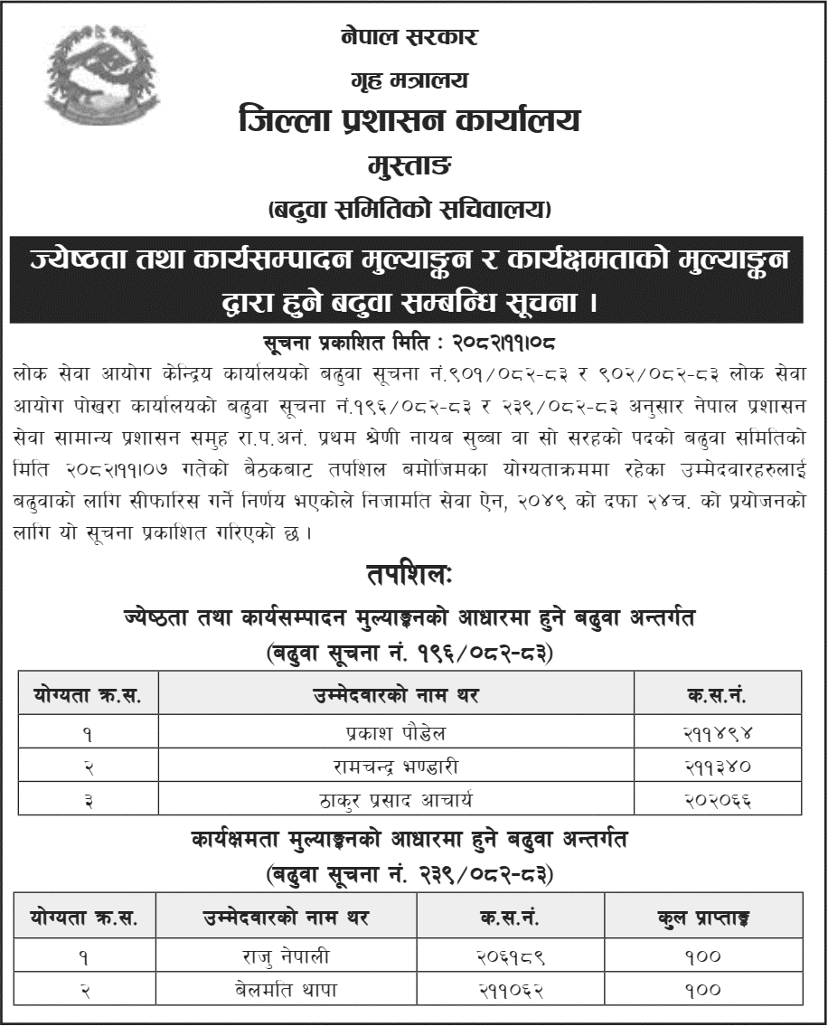 Mustang DAO Recommends 5 for Nayab Subba Promotion