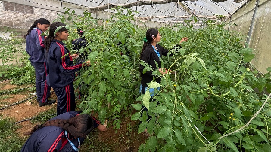 Panchakanya School Syangja Learn and Earn Program Effective 