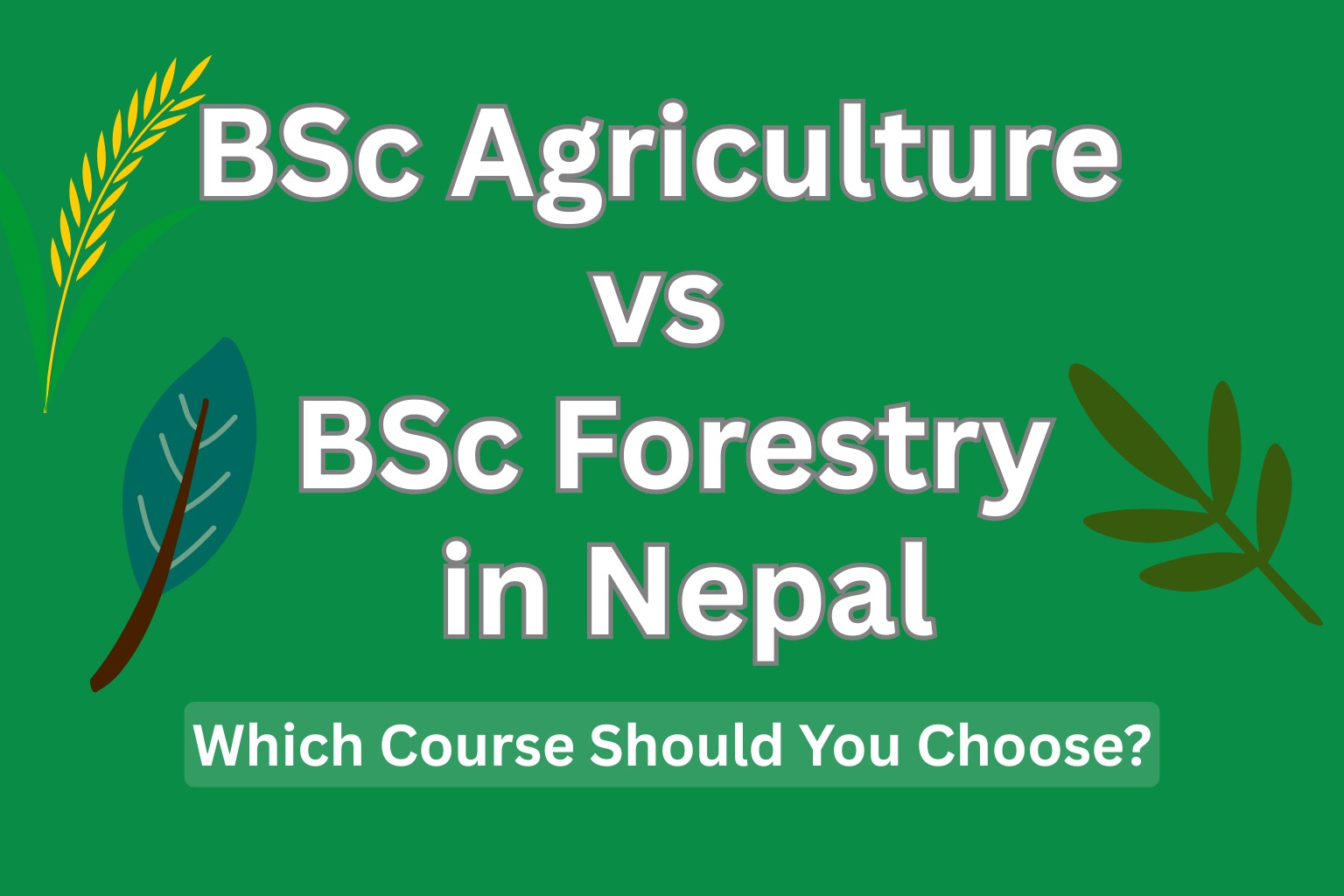 BSc Agriculture vs BSc Forestry in Nepal Student Guidence 