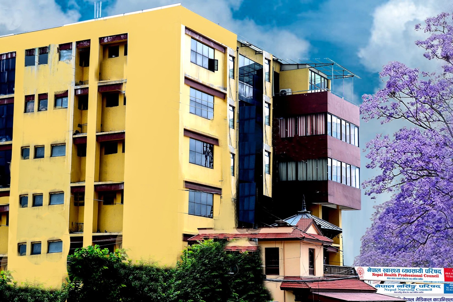 Nepal Health Professional Council (NHPC) Building 