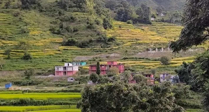 Thalara Multiple Campus, Thalara-5, Kholi, Bajhang
